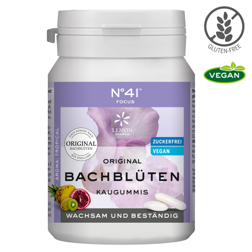KONZENTRATION Kaugummi nach Dr.Bach